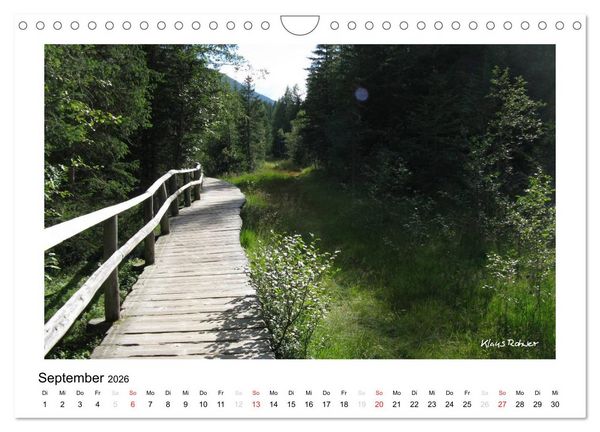 Produktbild: Holz - so vielf&auml;ltig (Wandkalender 2026 DIN A4 quer), CALVENDO Monatskalender