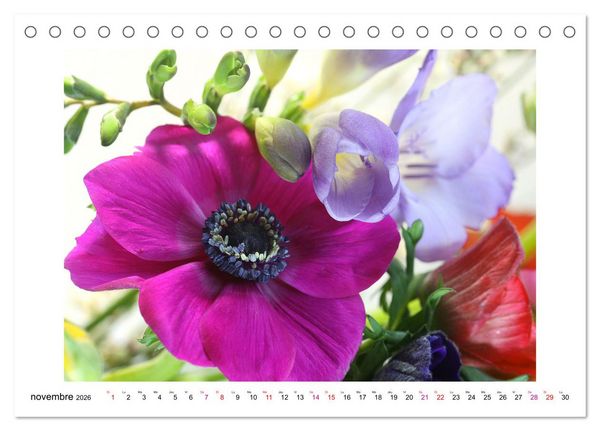 Produktbild: Fleurs - un m&eacute;lange color&eacute; (Calendrier de bureau 2026 DIN A5 vertical), CALVENDO calendrier mensuel