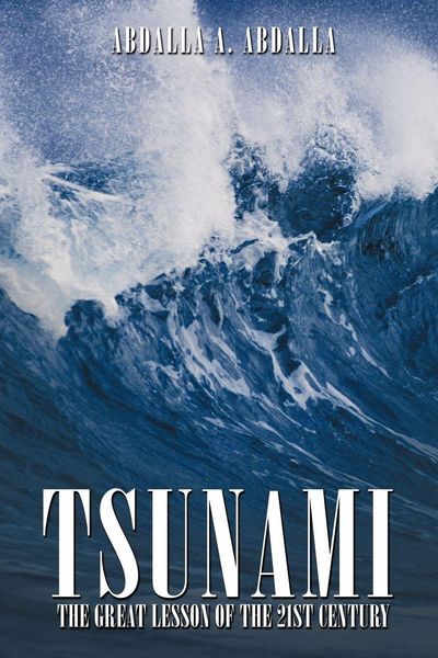 Produktbild: Tsunami the Great Lesson of the 21st Century