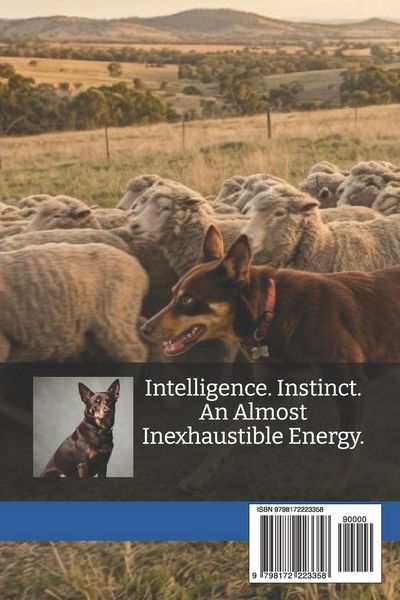 Produktbild: The Complete Australian Kelpie Guide