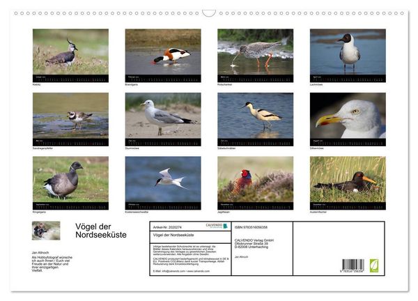 Produktbild: V&ouml;gel der Nordseek&uuml;ste (Wandkalender 2026 DIN A2 quer), CALVENDO Monatskalender