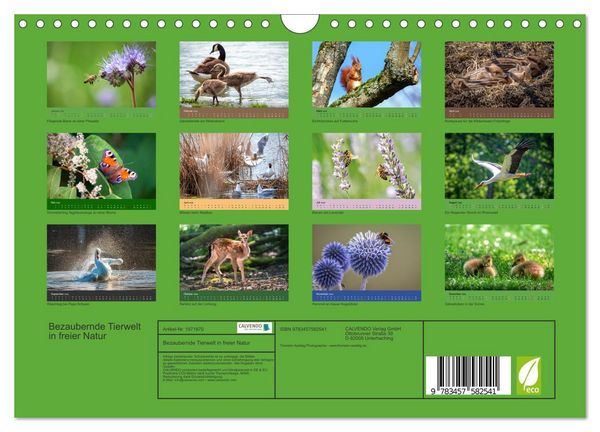 Produktbild: Bezaubernde Tierwelt in freier Natur (Wandkalender 2026 DIN A4 quer), CALVENDO Monatskalender