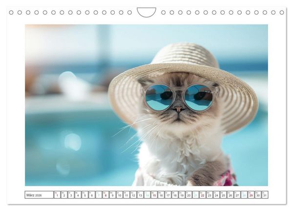 Produktbild: Hei&szlig;er Sommer (Wandkalender 2026 DIN A4 quer), CALVENDO Monatskalender