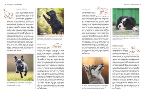 Produktbild: Typgerechtes Welpentraining