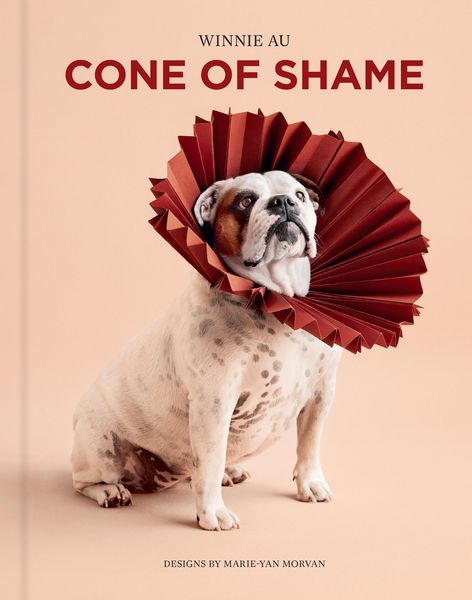 Produktbild: Cone of Shame