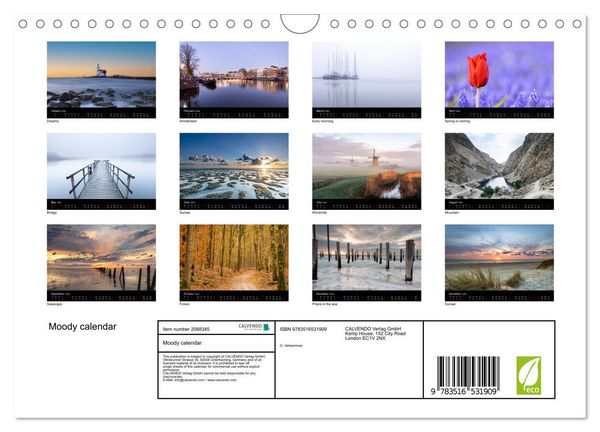Produktbild: Moody calendar (Wall Calendar 2026 DIN A4 landscape), CALVENDO 12 Month Wall Calendar