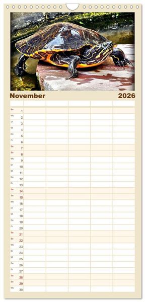 Produktbild: Familienplaner 2026 - Schmuckschildkr&ouml;ten - Schmuckst&uuml;cke der Natur mit 5 Spalten (Wandkalender, 21 x 45 cm) CALVENDO