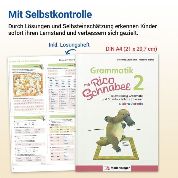 Produktbild: Grammatik mit Rico Schnabel, Klasse 2 - silbierte Ausgabe