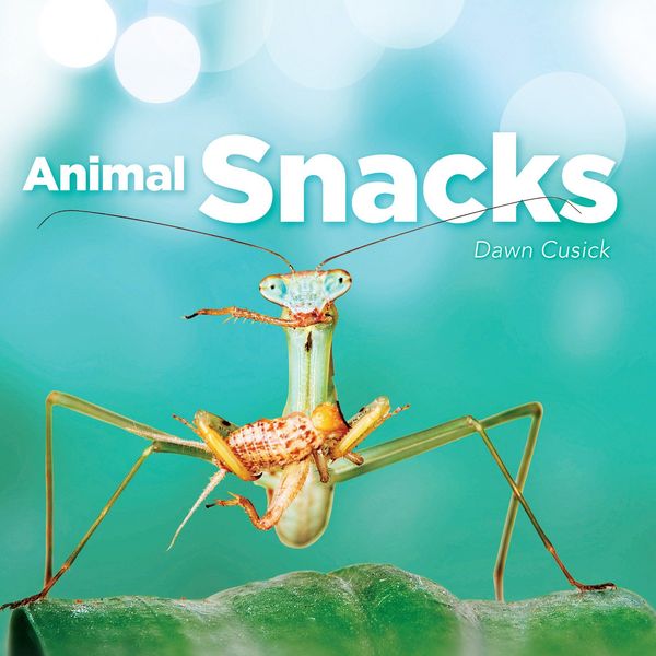 Produktbild: Animal Snacks