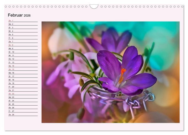 Produktbild: Lila - die mystische Farbe (Wandkalender 2026 DIN A3 quer), CALVENDO Monatskalender