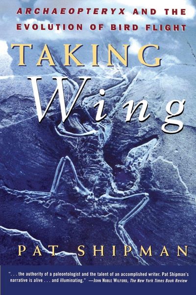Produktbild: Taking Wing