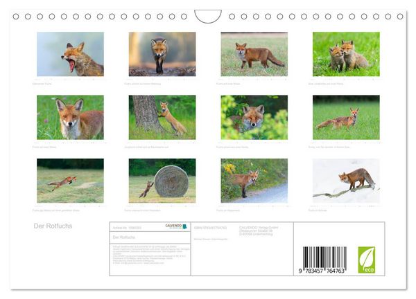 Produktbild: Der Rotfuchs (Wandkalender 2026 DIN A4 quer), CALVENDO Monatskalender