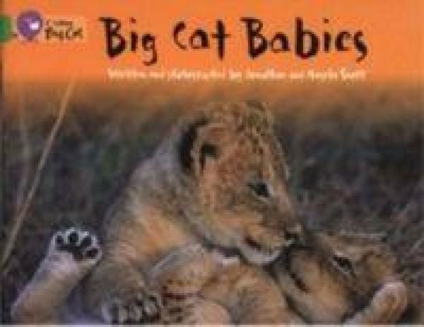 Produktbild: BIG CAT - BIG CAT BABIES