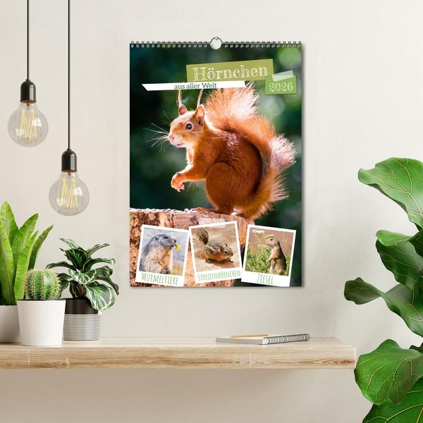Produktbild: H&ouml;rnchen aus aller Welt (Wandkalender 2026 DIN A3 hoch), CALVENDO Monatskalender