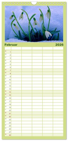 Produktbild: Familienplaner 2026 - Wildblumen 2026 mit 5 Spalten (Wandkalender, 21 x 45 cm) CALVENDO