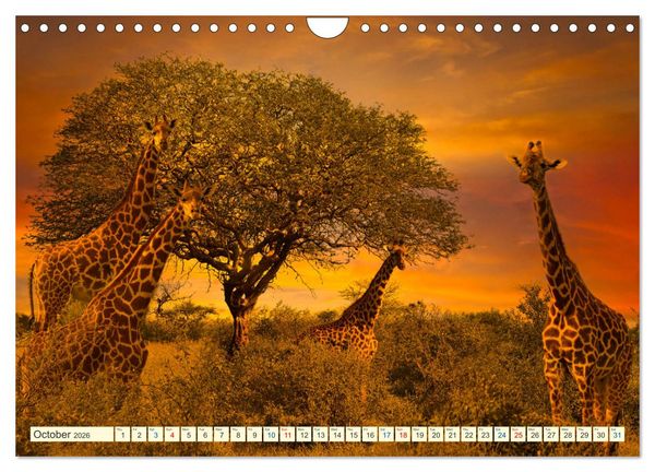 Produktbild: Fantastic Kenya (Wall Calendar 2026 DIN A4 landscape), CALVENDO 12 Month Wall Calendar