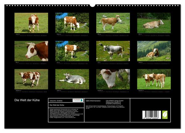 Produktbild: Die Welt der K&uuml;he (hochwertiger Premium Wandkalender 2026 DIN A2 quer), Kunstdruck in Hochglanz