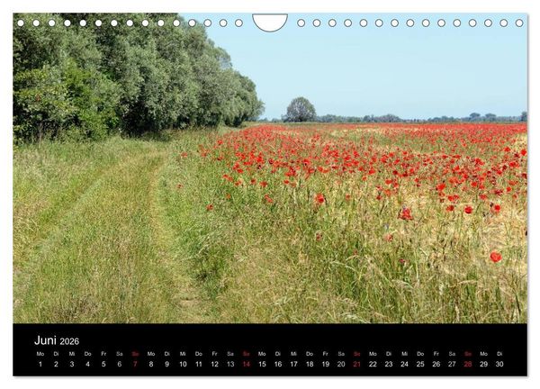 Produktbild: Vier Jahreszeiten im Havelland (Wandkalender 2026 DIN A4 quer), CALVENDO Monatskalender