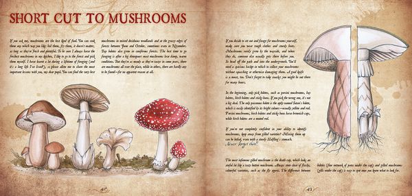 Produktbild: Recipes from the Shirefolk