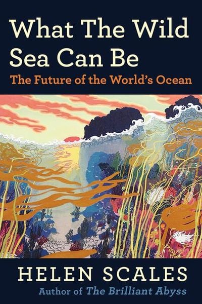 Produktbild: What the Wild Sea Can Be
