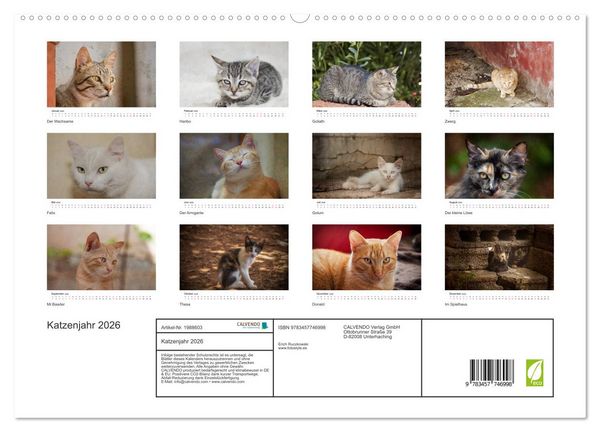Produktbild: Katzenjahr 2026 (hochwertiger Premium Wandkalender 2026 DIN A2 quer), Kunstdruck in Hochglanz