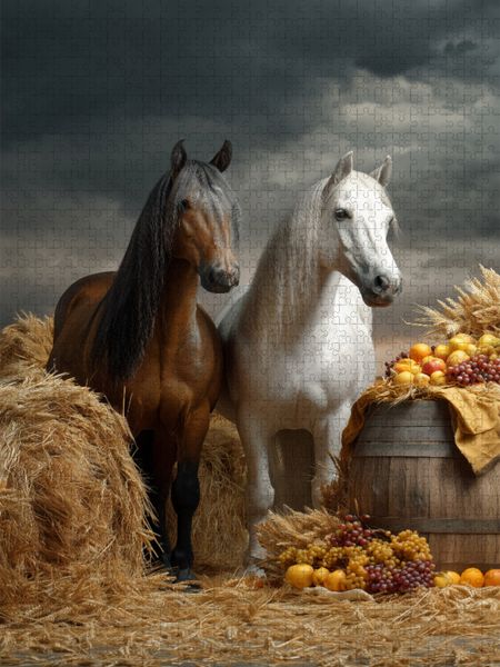 Produktbild: CALVENDO Puzzle Ein Motiv aus dem Kalender Edle Pferde | 1000 Teile Lege-Gr&ouml;&szlig;e 64x48cm Foto-Puzzle f&uuml;r gl&uuml;ckliche Stunden