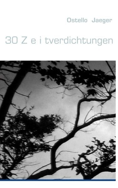 Produktbild: 30 Z e i tverdichtungen