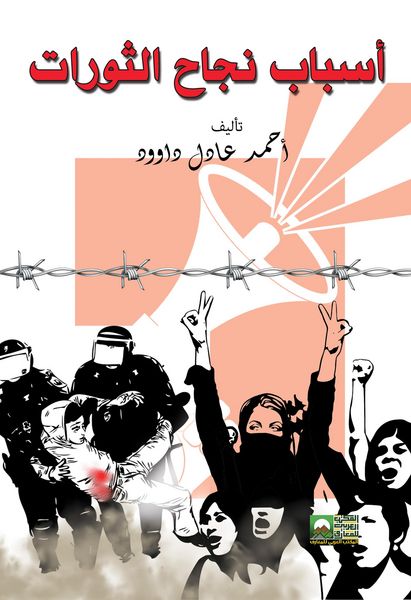 Produktbild: Reasons for the success of revolutions