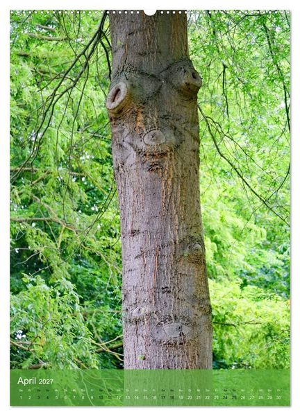 Produktbild: Geister im Wald 2027 (Wandkalender 2027 DIN A2 hoch), CALVENDO Monatskalender