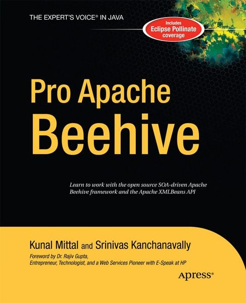 Produktbild: Pro Apache Beehive