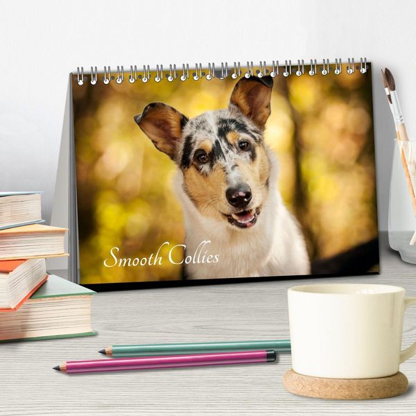 Produktbild: Smooth Collies (Tischkalender 2026 DIN A5 quer), CALVENDO Monatskalender