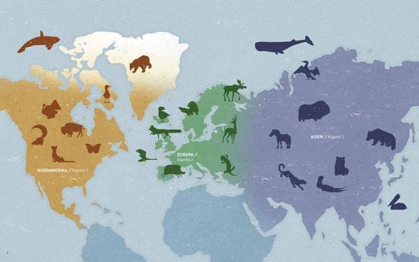 Produktbild: Die Welt der wilden Tiere