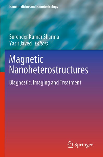 Produktbild: Magnetic Nanoheterostructures