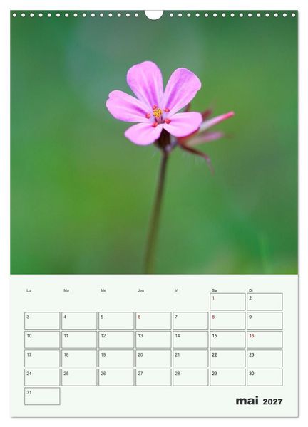 Produktbild: Fleurs en toute simplicit&eacute; - Beaut&eacute; minimaliste (Calendrier mural 2027 DIN A3 horizontal), CALVENDO calendrier mensuel