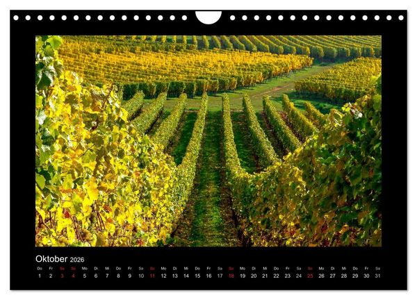 Produktbild: Wein - Reben, Wingerte und historische Weinkeller (Wandkalender 2026 DIN A4 quer), CALVENDO Monatskalender