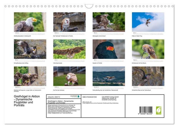 Produktbild: Greifv&ouml;gel in Aktion - Dynamische Flugbilder und Portr&auml;ts (Wandkalender 2027 DIN A3 quer), CALVENDO Monatskalender