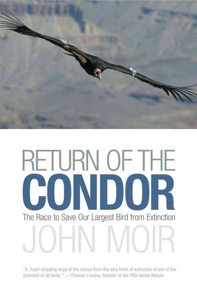Produktbild: Return of the Condor
