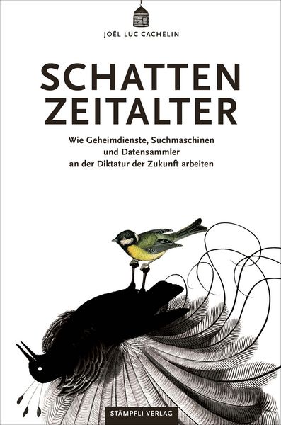 Produktbild: Schattenzeitalter