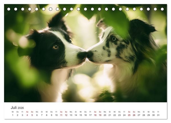 Produktbild: Sch&ouml;n, schlau, schnell! - Der Border Collie - Kalender (Tischkalender 2026 DIN A5 quer), CALVENDO Monatskalender