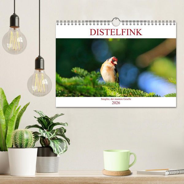 Produktbild: Distelfink (Wandkalender 2026 DIN A4 quer), CALVENDO Monatskalender