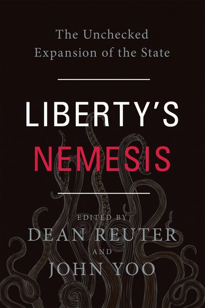 Produktbild: Liberty's Nemesis