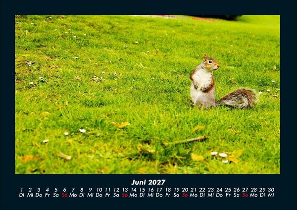Produktbild: London - Impressionen 2027 Fotokalender DIN A4