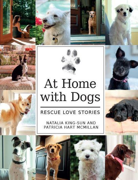 Produktbild: At Home with Dogs