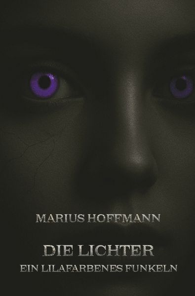 Die Lichter, Taschenbuch von Marius Hoffmann, Tolino Media, 9783819459320