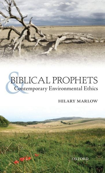 Produktbild: Biblical Prophets and Contemporary Environmental Ethics