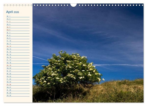Produktbild: Urlaub auf Borkum (Wandkalender 2026 DIN A3 quer), CALVENDO Monatskalender