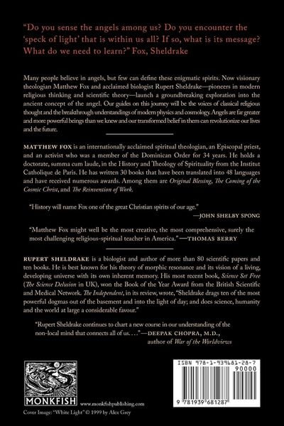 Produktbild: Physics of Angels
