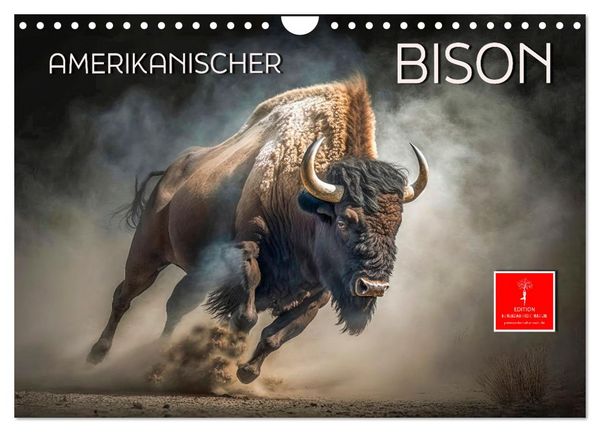 Amerikanischer Bison (Wandkalender 2026 DIN A4 quer), CALVENDO Monatskalender