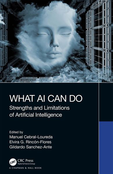 Produktbild: What AI Can Do