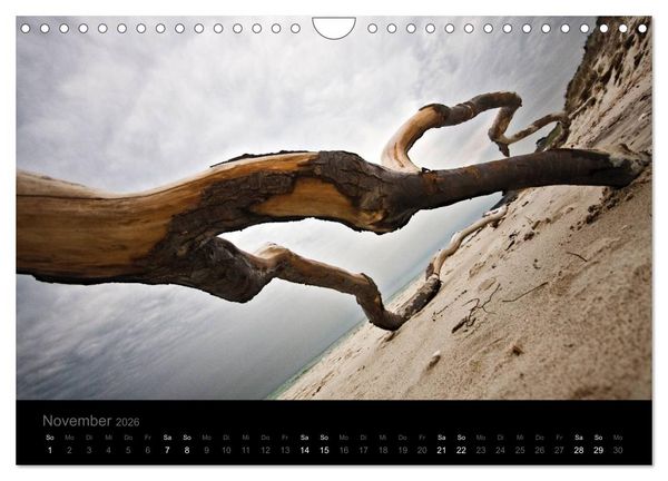 Produktbild: Natur im Detail (Wandkalender 2026 DIN A4 quer), CALVENDO Monatskalender